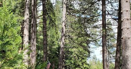 Western Cabin at Bigfoot Lodging Lassen