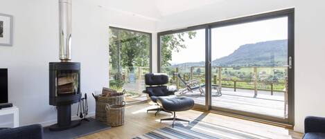 Télévision, cheminée, lecteur de DVD, table de tennis de table