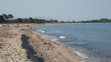 Plage à proximité, chaises longues, serviettes de plage