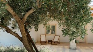 Zona d'estar a l'aire lliure tranquil·la, amb dues cadires de fusta, una taula petita i una planta en test.