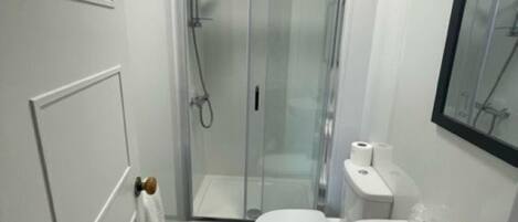 A modern bathroom with a glass-enclosed shower, a toilet, and a sink.