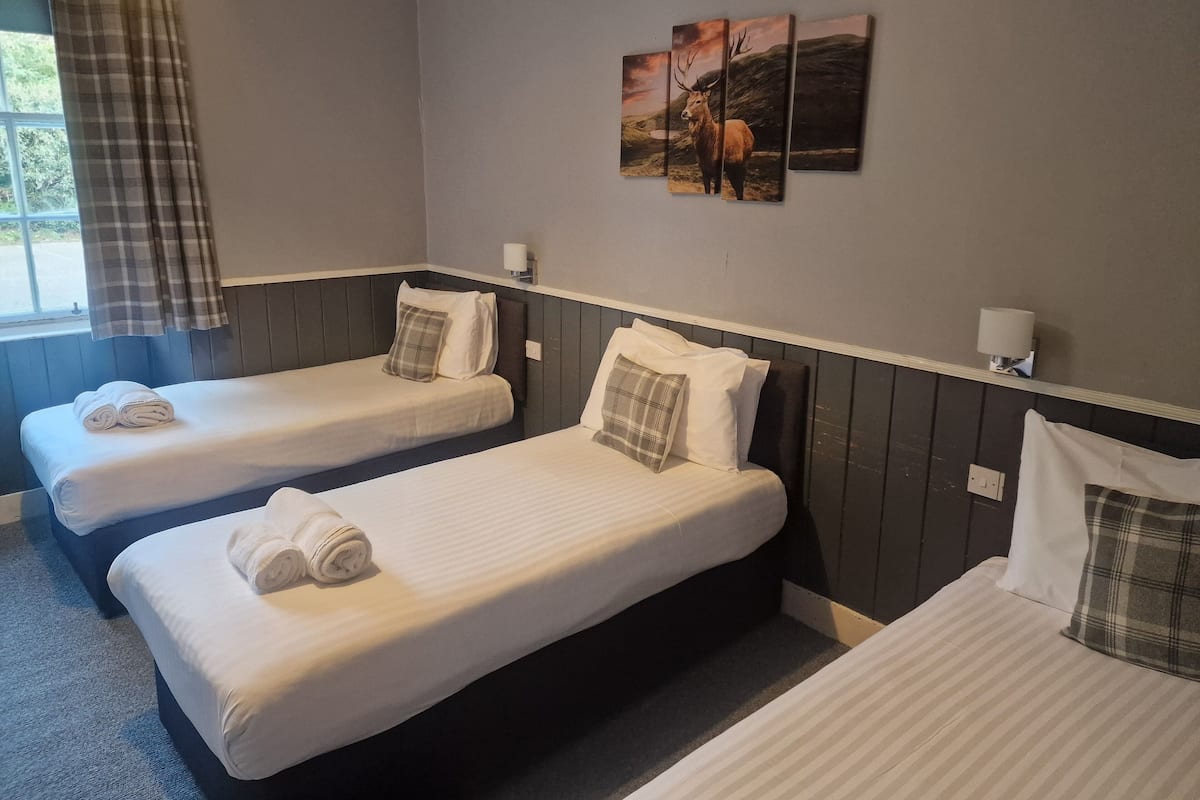 Standard-Vierbettzimmer | Kostenloses WLAN