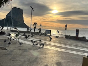 Plage à proximité