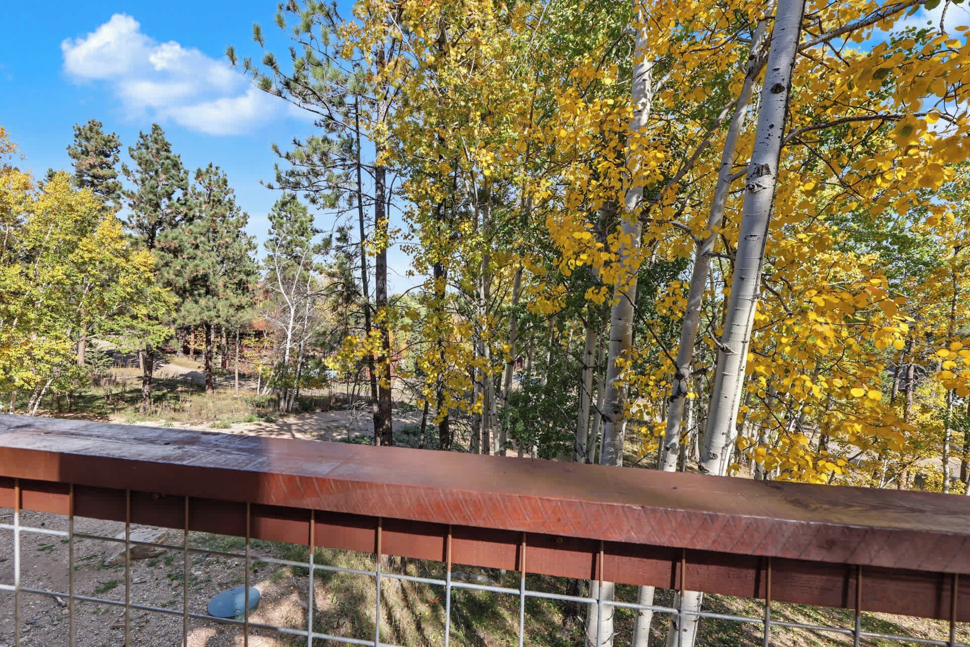 A metal railing with a view of trees in autumn colors.