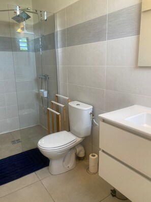 A modern bathroom with a glass shower enclosure, a toilet, and a sink.