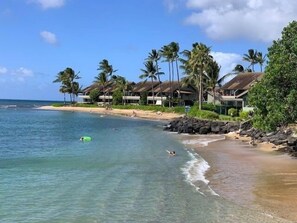 Condo, 1 Bedroom | Beach - Kahana Reef #310 1 Bedroom Condo by RedAwning (Lahaina)