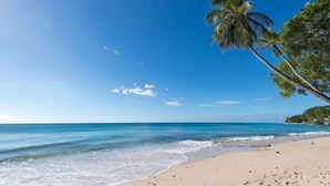 Een strand met helderblauw water, een zandstrand en palmbomen.