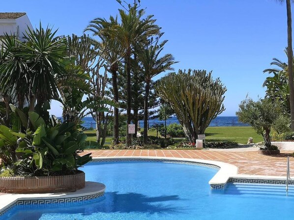 Unclassified image, 1 of 37, button