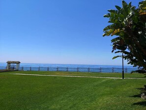 Unclassified image, 4 of 37, button