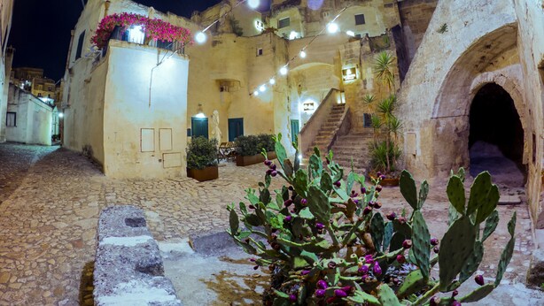 Un patio con suelo de piedra, una planta de cactus y un edificio con escaleras.