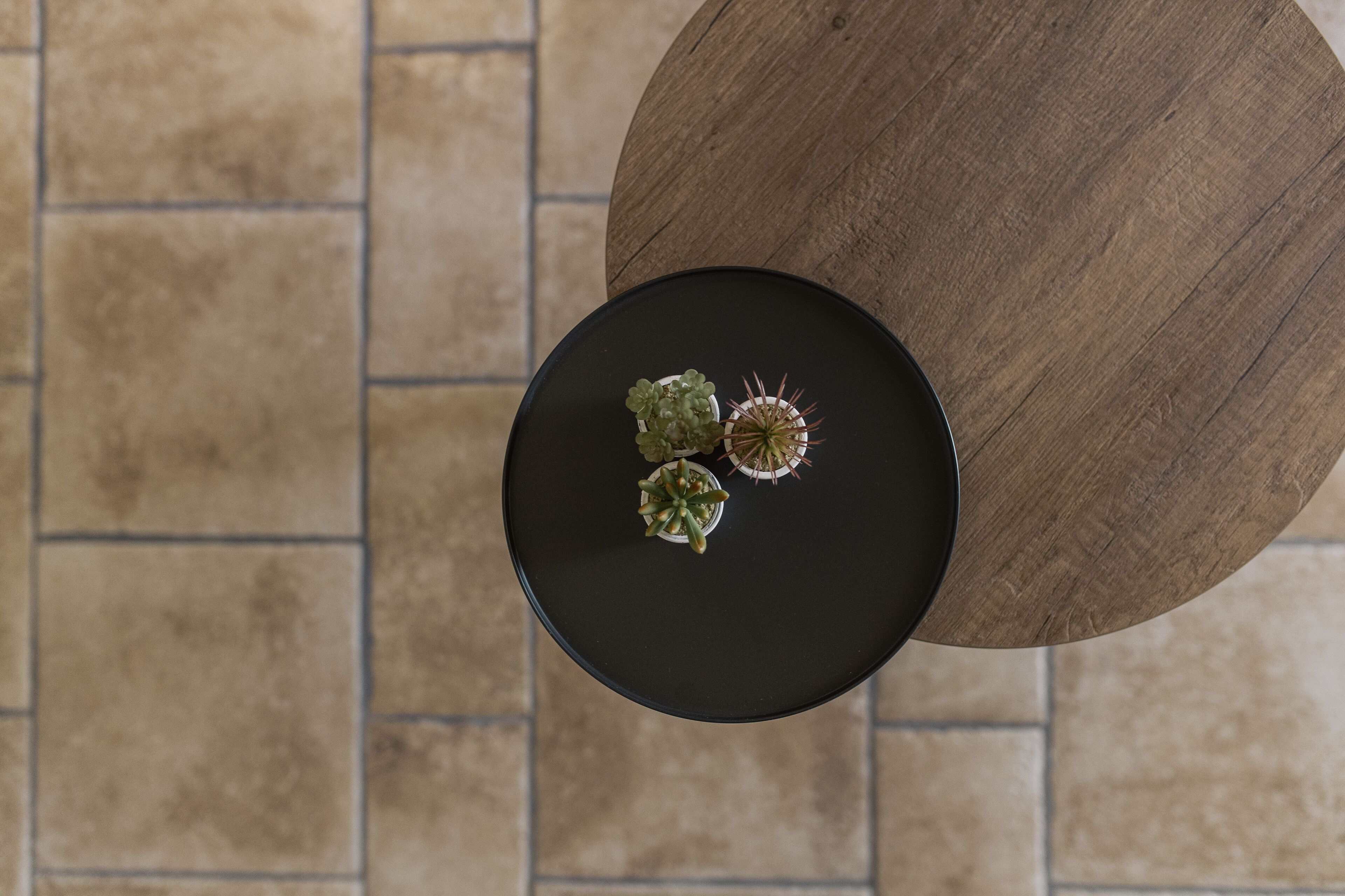 Photo - Antichi Orizzonti