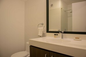Een moderne badkamer met een witte wasbak, een grote spiegel en een douchecabine van glas.