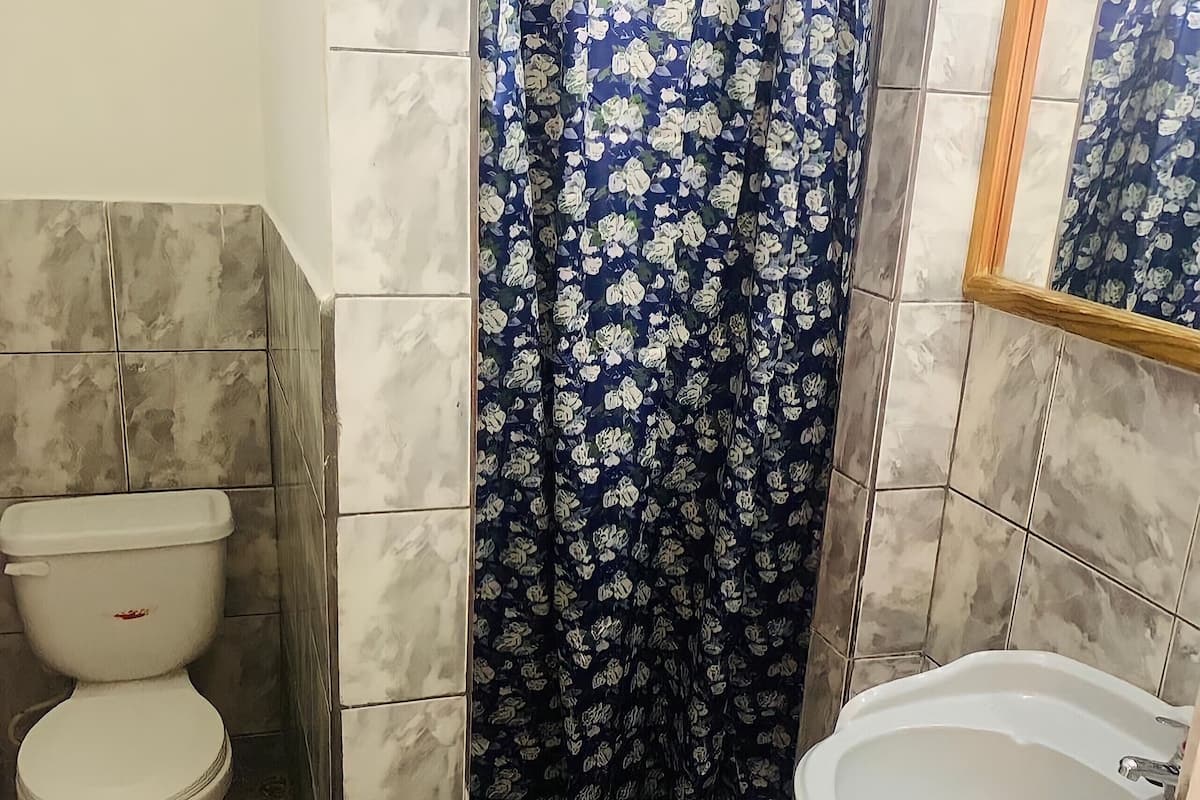 standard room with 1 double bed | bathroom | shower, towels