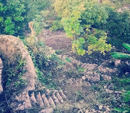 Hiking