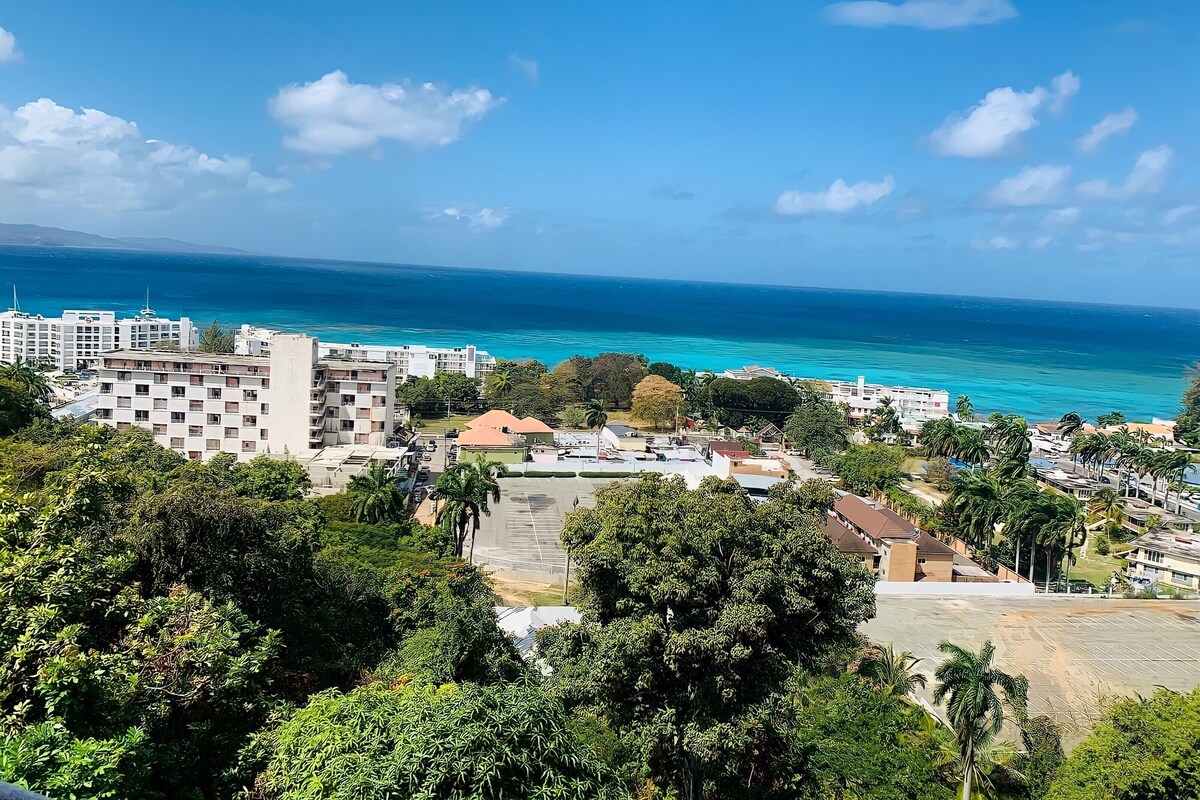 A coastal cityscape with buildings, a clear blue sky, and the ocean.