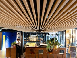 Bar (en el alojamiento)