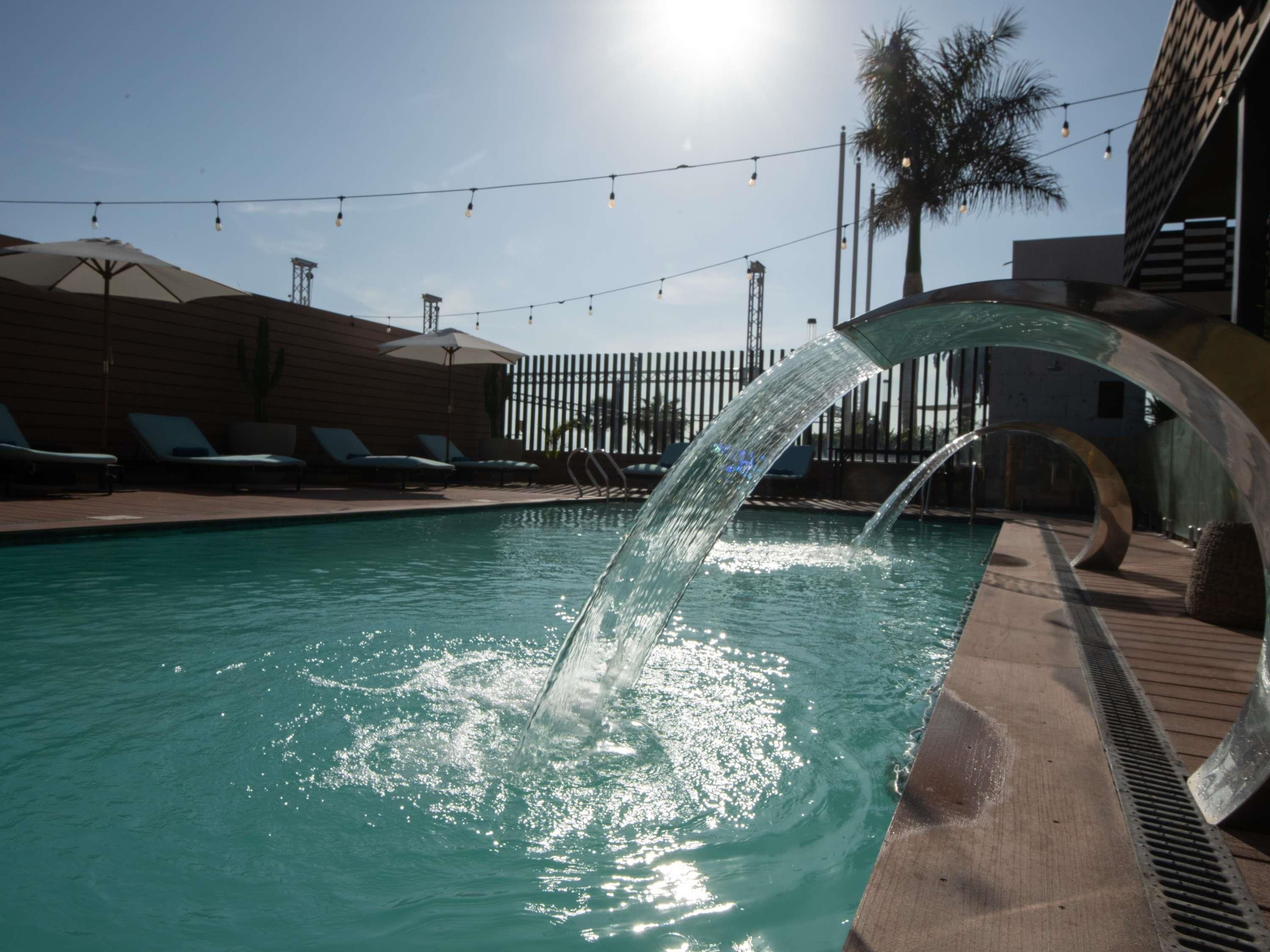 A swimming pool with a water feature, lounge chairs, and a palm tree.