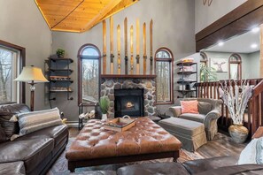 Télévision, cheminée, livres, espaces bureaux