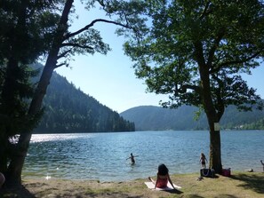 Beach - Vosges mountain chalet (Ban-sur-Meurthe-Clefcy)