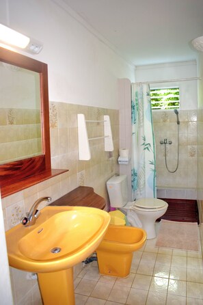 Shower, hair dryer, towels, soap