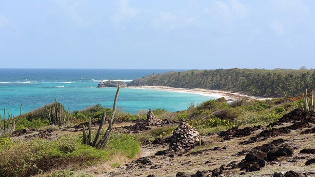 Eine Küstenlandschaft mit Strand, felsigem Gelände und spärlicher Vegetation.