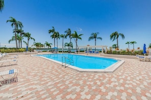 A swimming pool with lounge chairs and palm trees.
