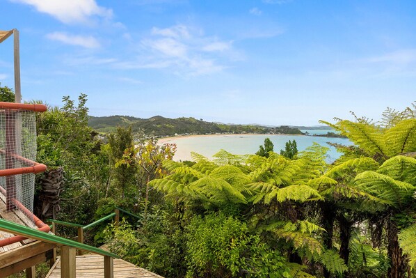 Une vue sur la côte, avec un escalier en bois menant à une plage, le tout entouré d'une végétation luxuriante composée de fougères et d'arbres.