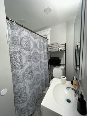 Combined shower/tub, hair dryer, towels, toilet paper