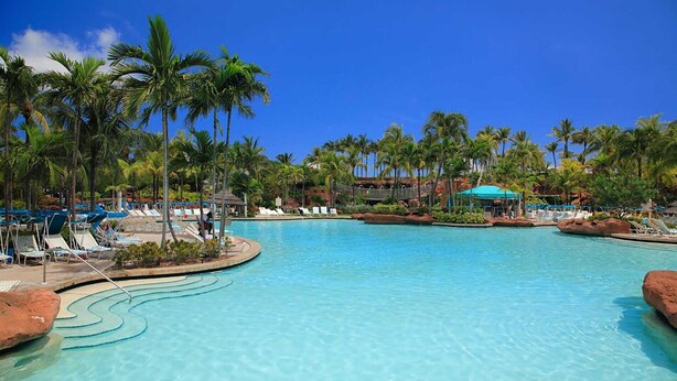 Piscina de un resort rodeada de palmeras y sillas de descanso.