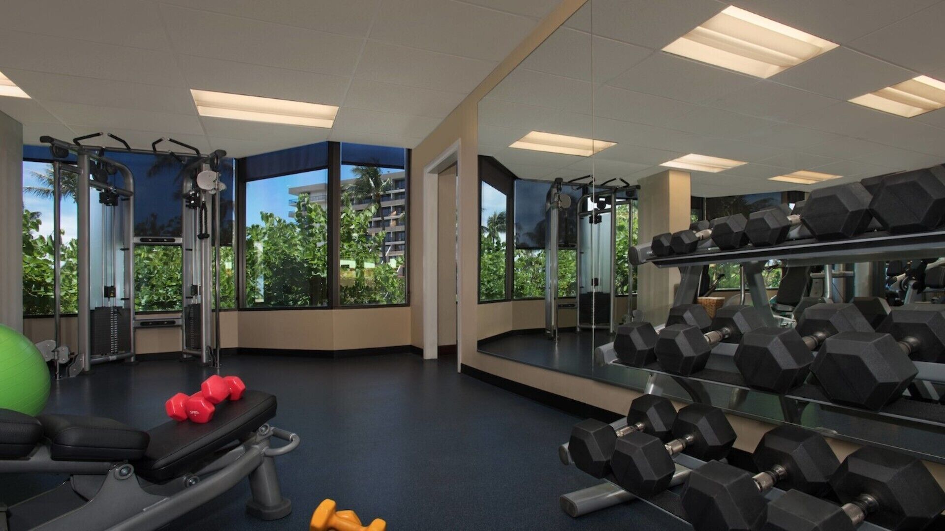 A gym with exercise equipment, large windows, and a view of greenery.