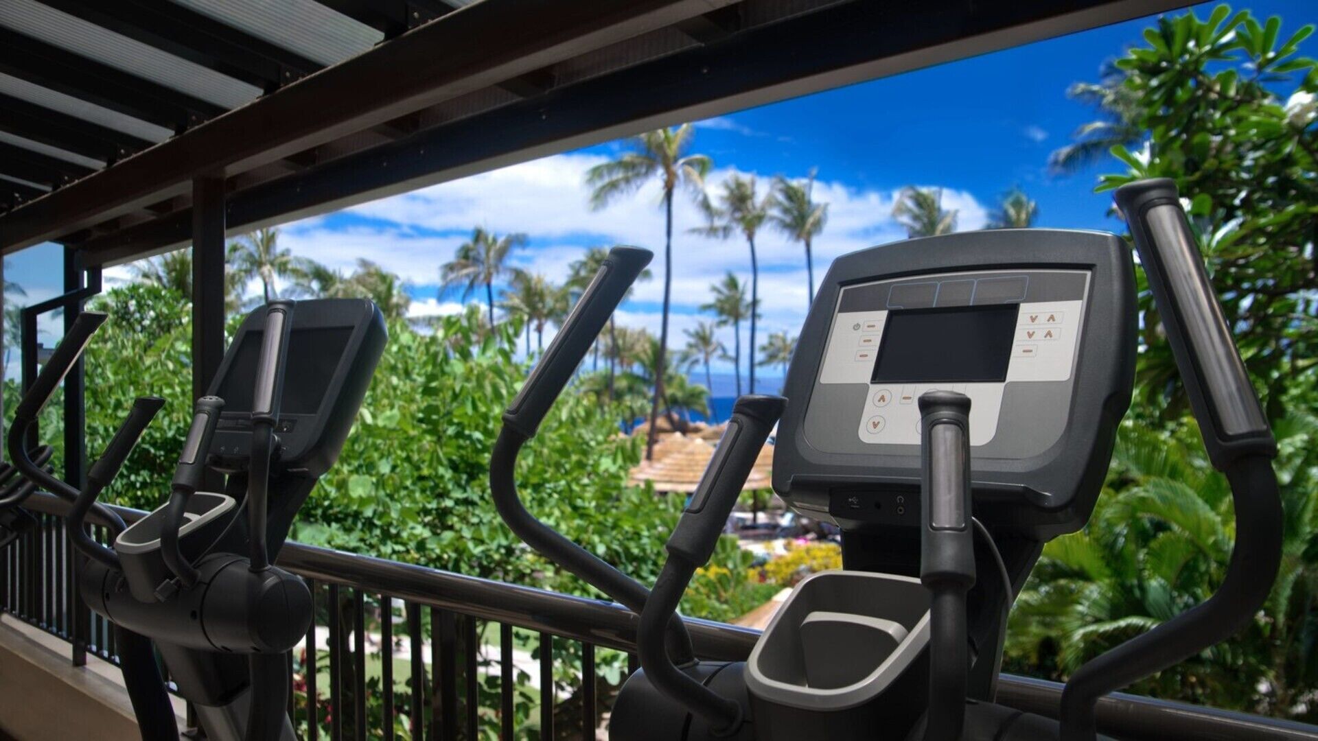 A row of stationary bikes with digital displays, set against a backdrop of lush greenery and a clear blue sky.