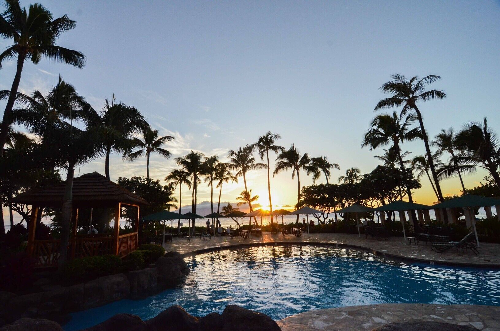 A pool area with palm trees and a gazebo, surrounded by umbrellas and lounge chairs.