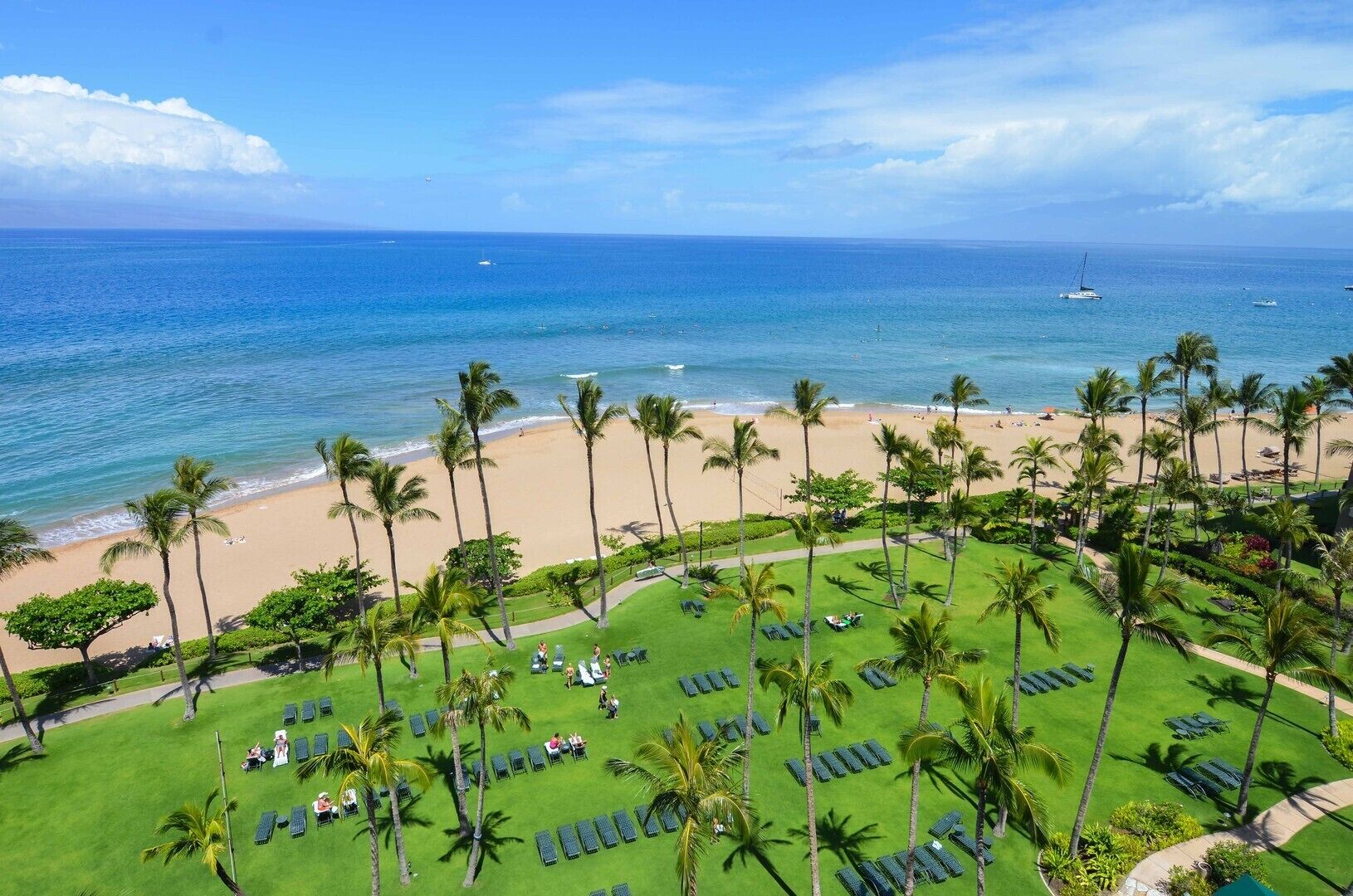 Ein Resort mit Strand, Palmen und Blick auf den Ozean.