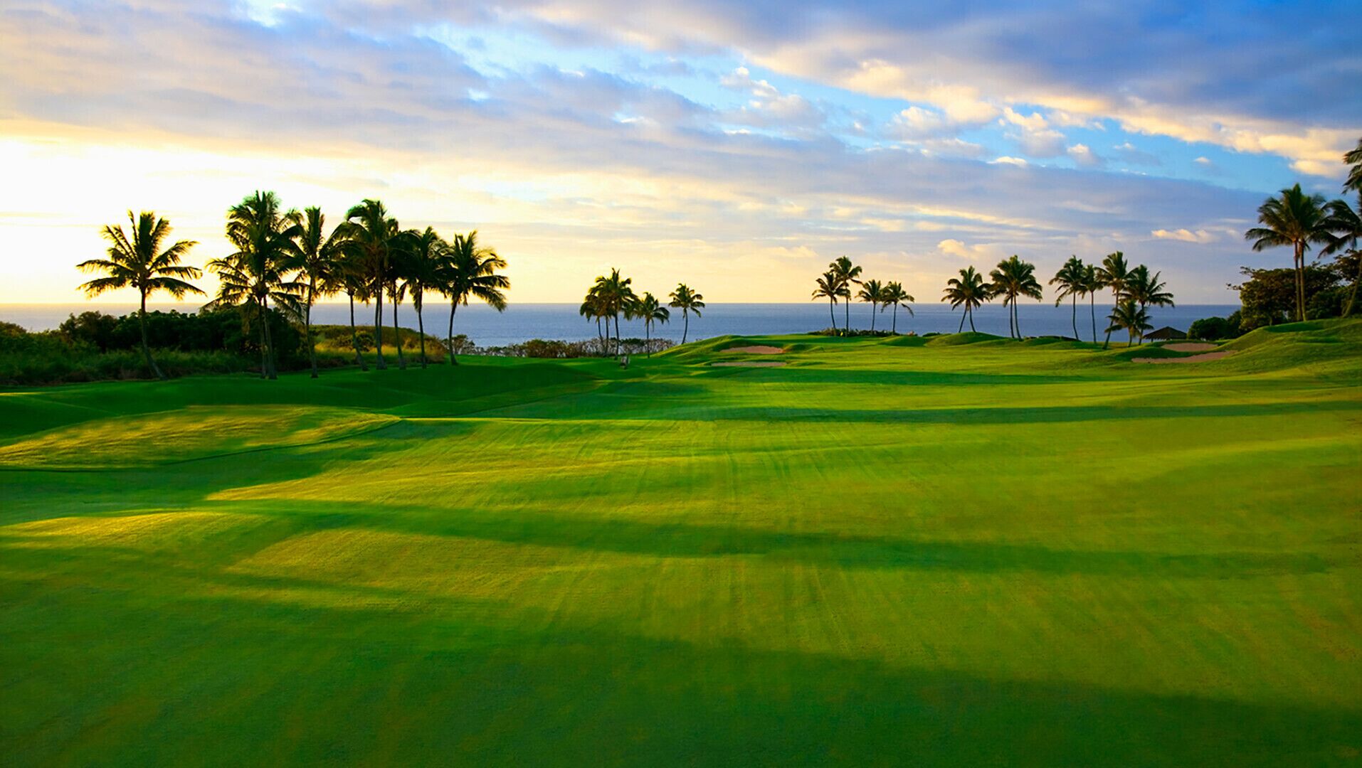 A golf course with a view of the ocean and palm trees.