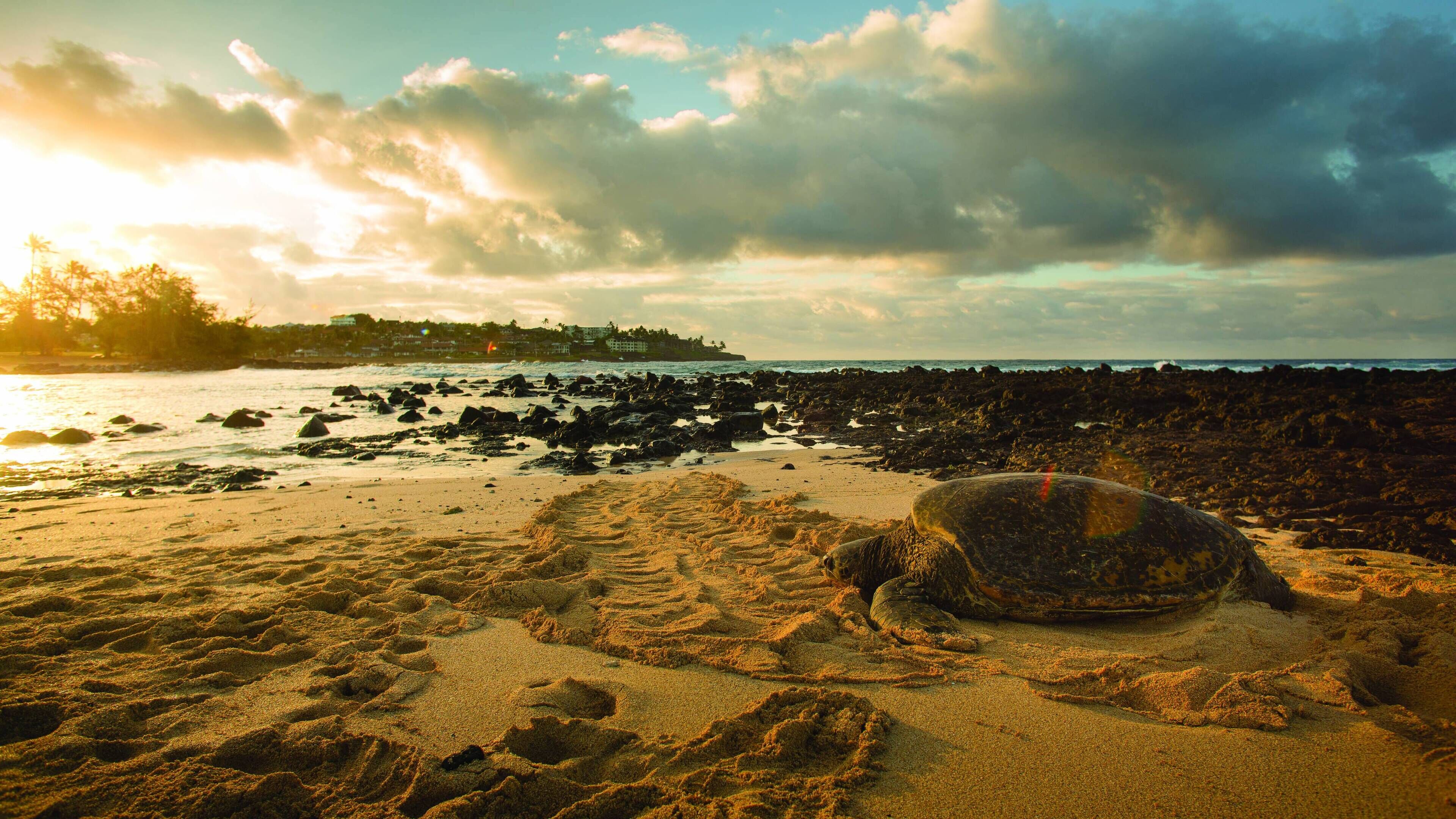 A beach with a clear sky, rocky shoreline, and footprints in the sand.