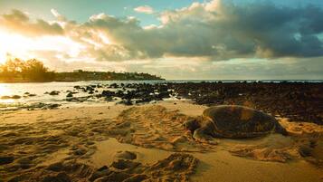 A beach with a clear sky, rocky shoreline, and footprints in the sand.