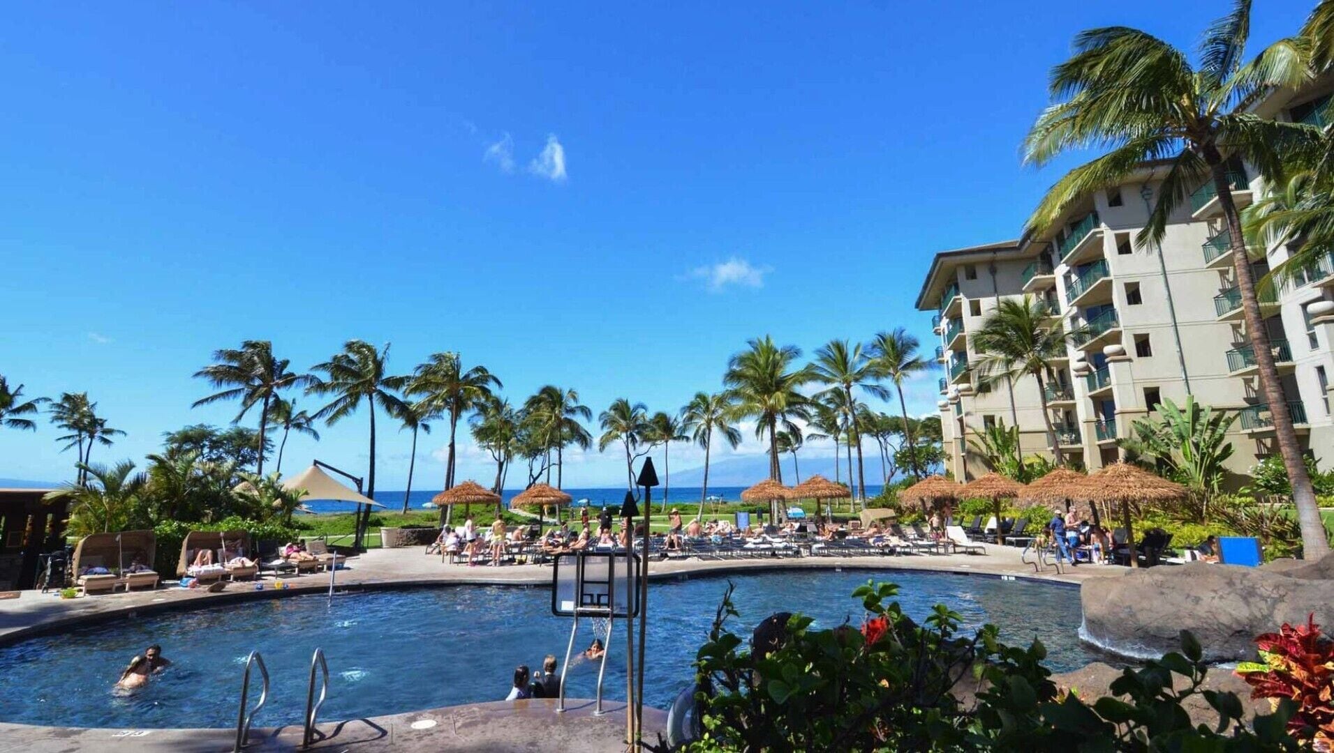 A resort pool area with palm trees, lounge chairs, and a building with balconies.