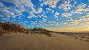 A beach with sand dunes and sparse vegetation.
