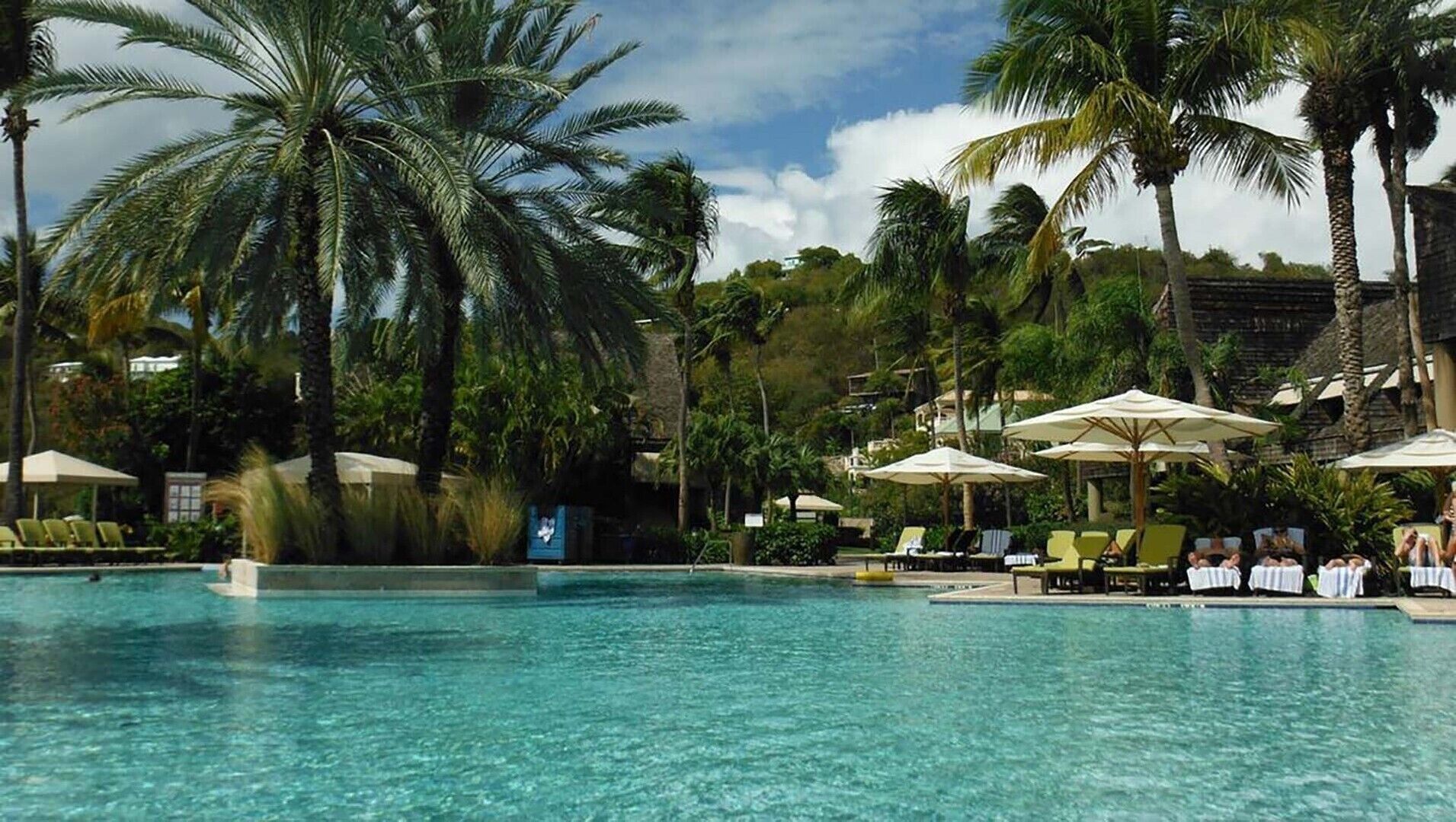 A pool area with clear water, surrounded by palm trees and lounge chairs.