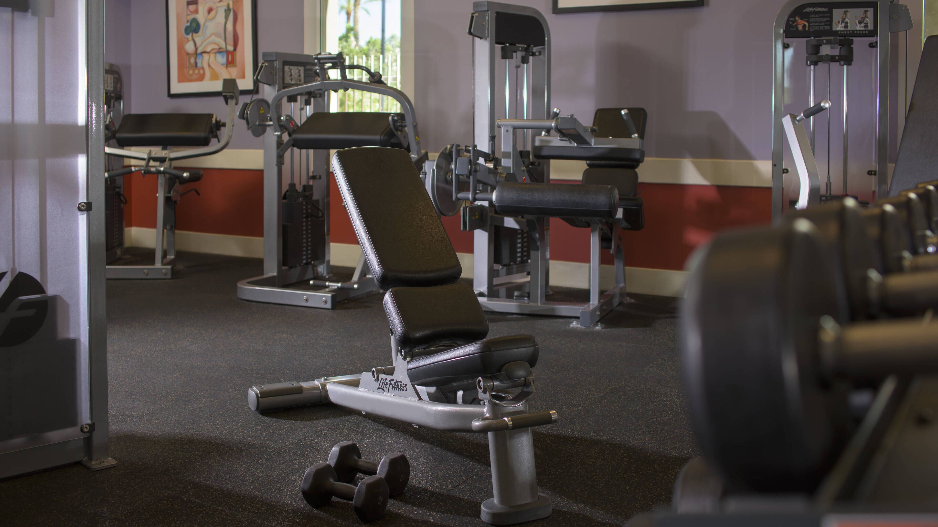 Un gimnasio con diverso equipamiento de ejercicio, incluyendo mancuernas y máquinas de pesas.
