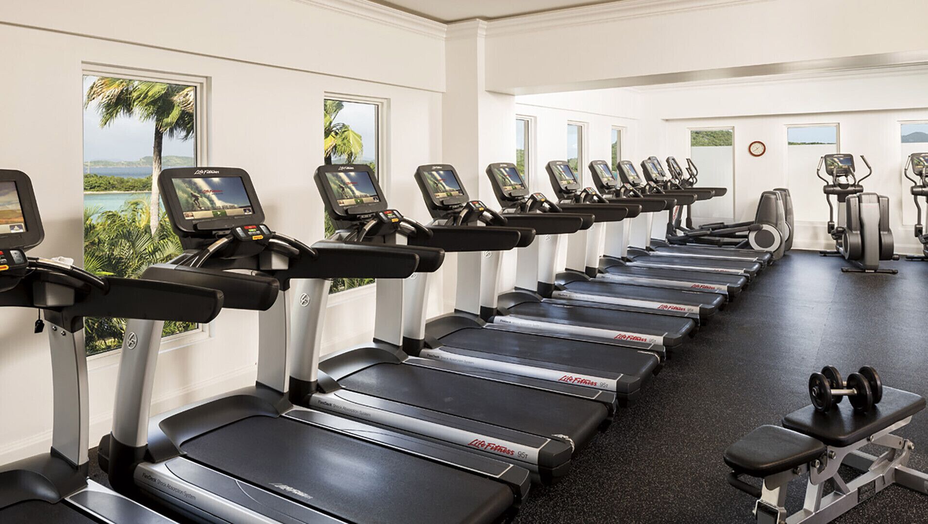 A row of treadmills with digital displays, a weight bench, and dumbbells in a gym with large windows and a view of palm trees.