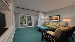 电视、DVD 播放器