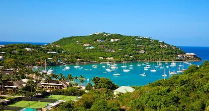 Studio - Westin St. John Coral Vista Villas - Full Resort Access