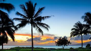 A sunset view with palm trees and a clear sky.