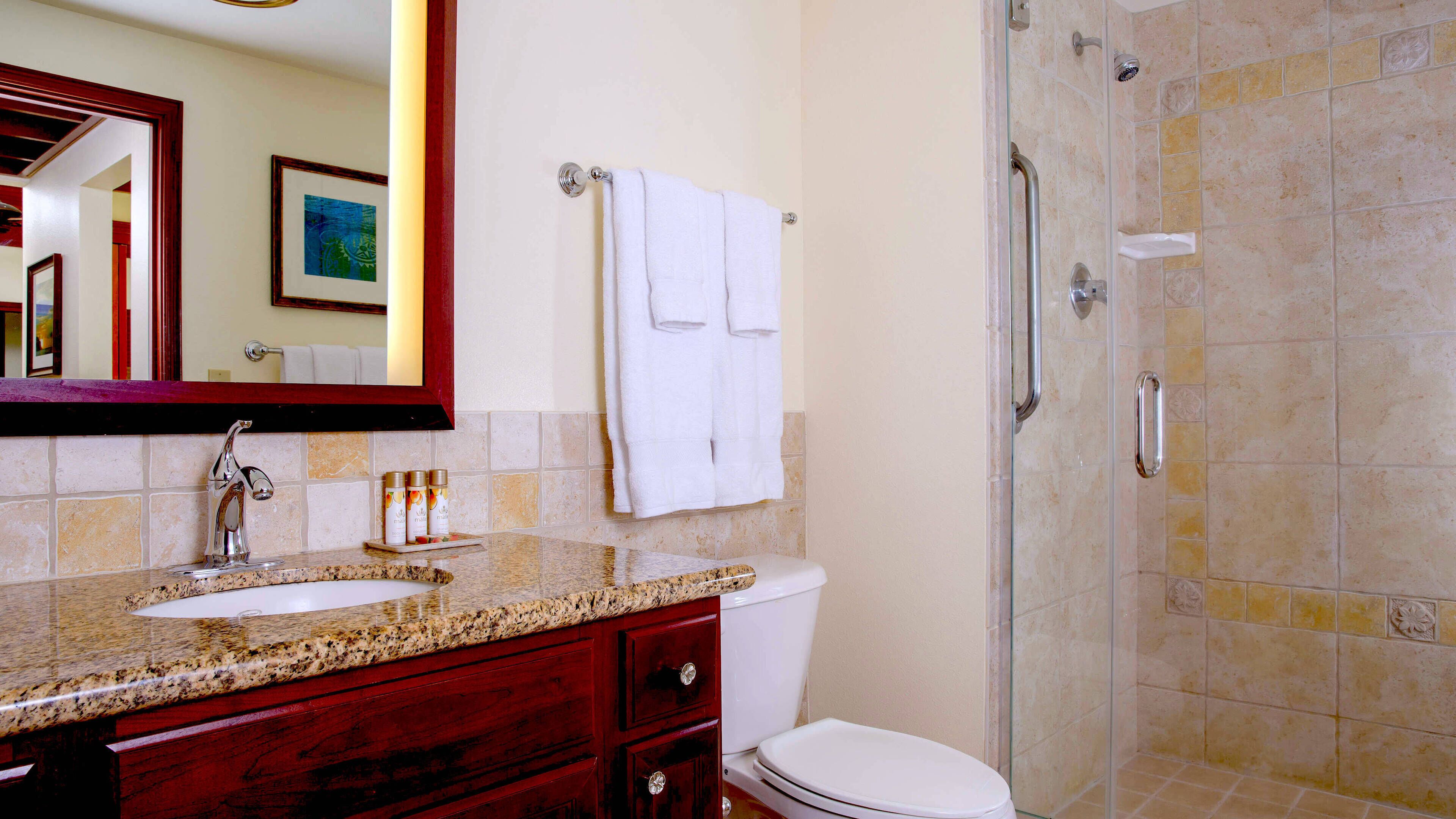Une salle de bain dotée d’un comptoir en granit, d’un lavabo blanc, de toilettes et d’une douche à parois de verre.