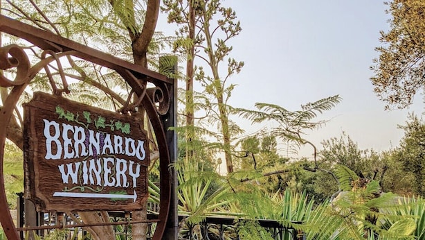 A wooden sign for Bernardo Winery surrounded by lush greenery.
