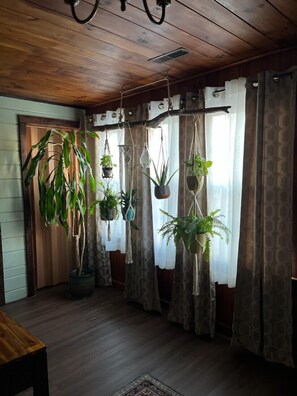 A room with wooden floors, a wooden ceiling, and a large window with curtains. There are several hanging plants and a potted plant on the floor.