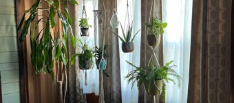 Stay in a Vintage Gatlinburg Motel! Now Pet Friendly!