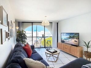 Télévision, lecteur de DVD, livres, vidéothÚque