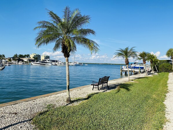 Enjoy serene waterfront views from a comfortable bench amidst lush greenery and a tranquil marina.